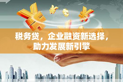 中山税务贷，企业融资新选择，助力发展新引擎