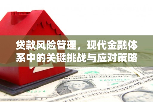 中山贷款风险管理，现代金融体系中的关键挑战与应对策略