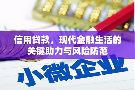 中山信用贷款，现代金融生活的关键助力与风险防范