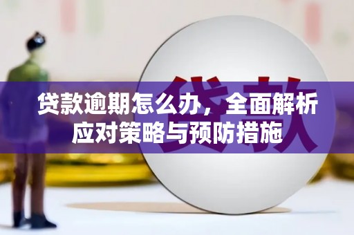 中山贷款逾期怎么办，全面解析应对策略与预防措施
