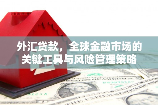 中山外汇贷款，全球金融市场的关键工具与风险管理策略