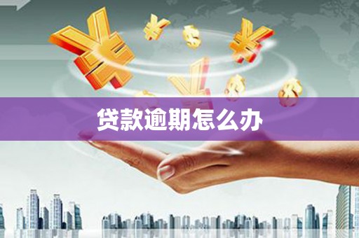 中山贷款逾期怎么办