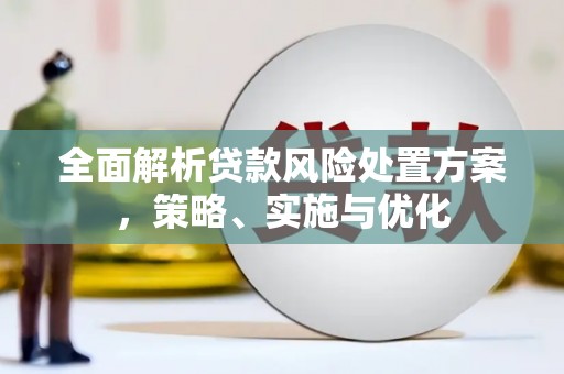 中山全面解析贷款风险处置方案，策略、实施与优化