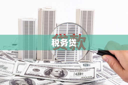 中山税务贷