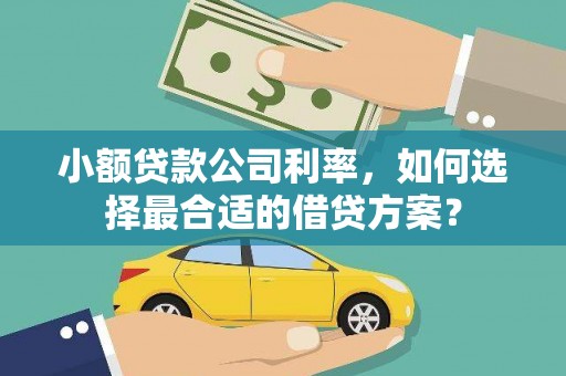 中山小额贷款公司利率，如何选择最合适的借贷方案？