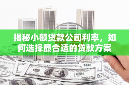 中山揭秘小额贷款公司利率，如何选择最合适的贷款方案