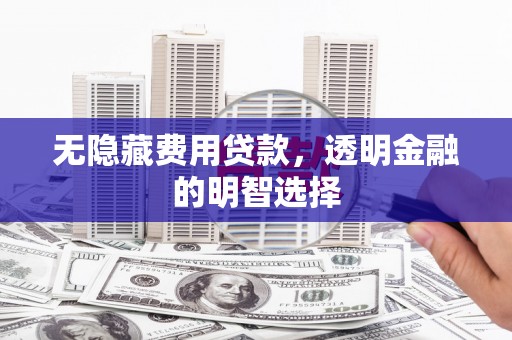 中山无隐藏费用贷款，透明金融的明智选择