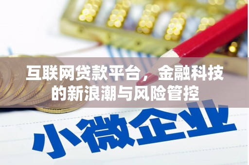 中山互联网贷款平台，金融科技的新浪潮与风险管控