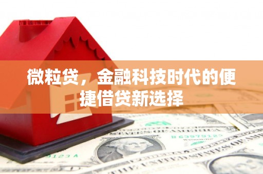 中山微粒贷，金融科技时代的便捷借贷新选择