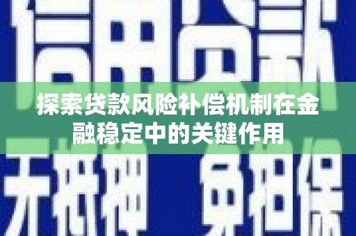 中山探索贷款风险补偿机制在金融稳定中的关键作用