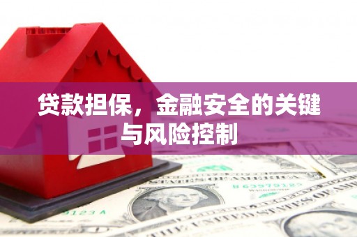 中山贷款担保，金融安全的关键与风险控制