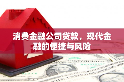 中山消费金融公司贷款，现代金融的便捷与风险