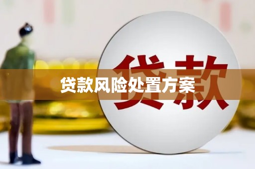 中山贷款风险处置方案