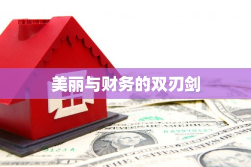 中山美丽与财务的双刃剑