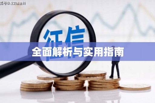 中山全面解析与实用指南