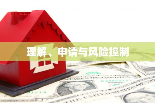 中山理解、申请与风险控制