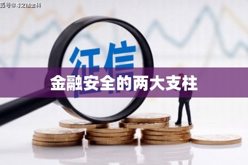 中山金融安全的两大支柱