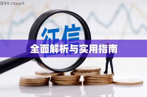 中山全面解析与实用指南