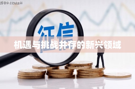 中山机遇与挑战并存的新兴领域