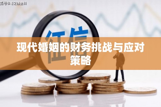 中山现代婚姻的财务挑战与应对策略