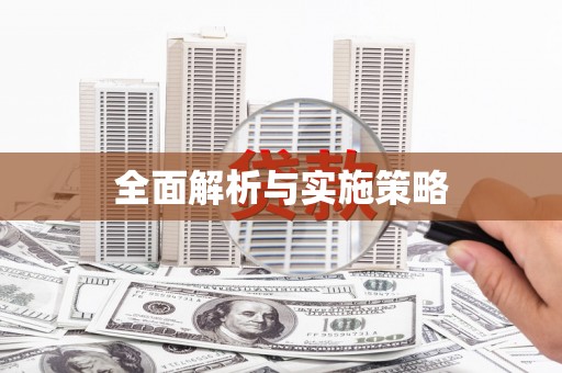 中山全面解析与实施策略