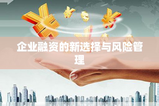 中山企业融资的新选择与风险管理