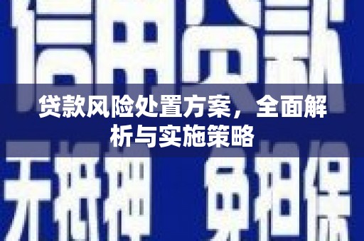 中山贷款风险处置方案，全面解析与实施策略