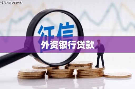 中山外资银行贷款