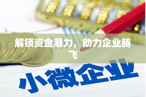 中山解锁资金潜力，助力企业腾飞