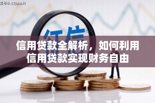 中山信用贷款全解析，如何利用信用贷款实现财务自由