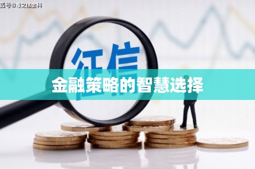 中山金融策略的智慧选择