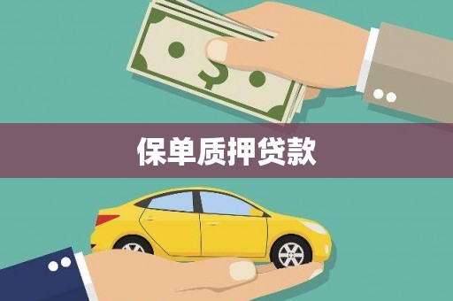 中山保单质押贷款
