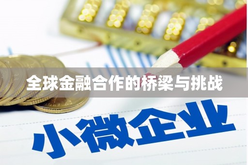 中山全球金融合作的桥梁与挑战