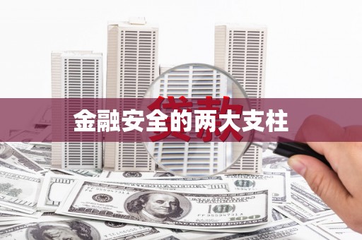 中山金融安全的两大支柱