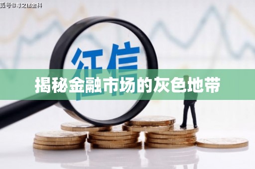 中山揭秘金融市场的灰色地带
