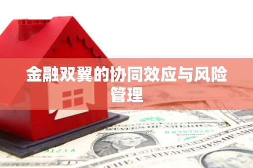 中山金融双翼的协同效应与风险管理