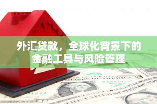 中山外汇贷款，全球化背景下的金融工具与风险管理