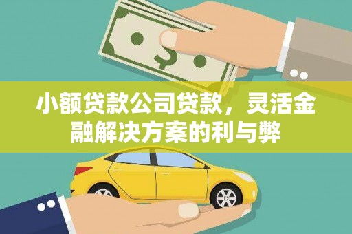 中山小额贷款公司贷款，灵活金融解决方案的利与弊