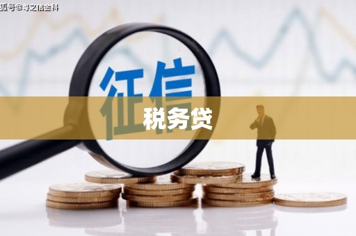 中山税务贷